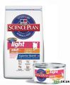 Feline Light Adult