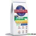 Puppy Large Breed Chicken